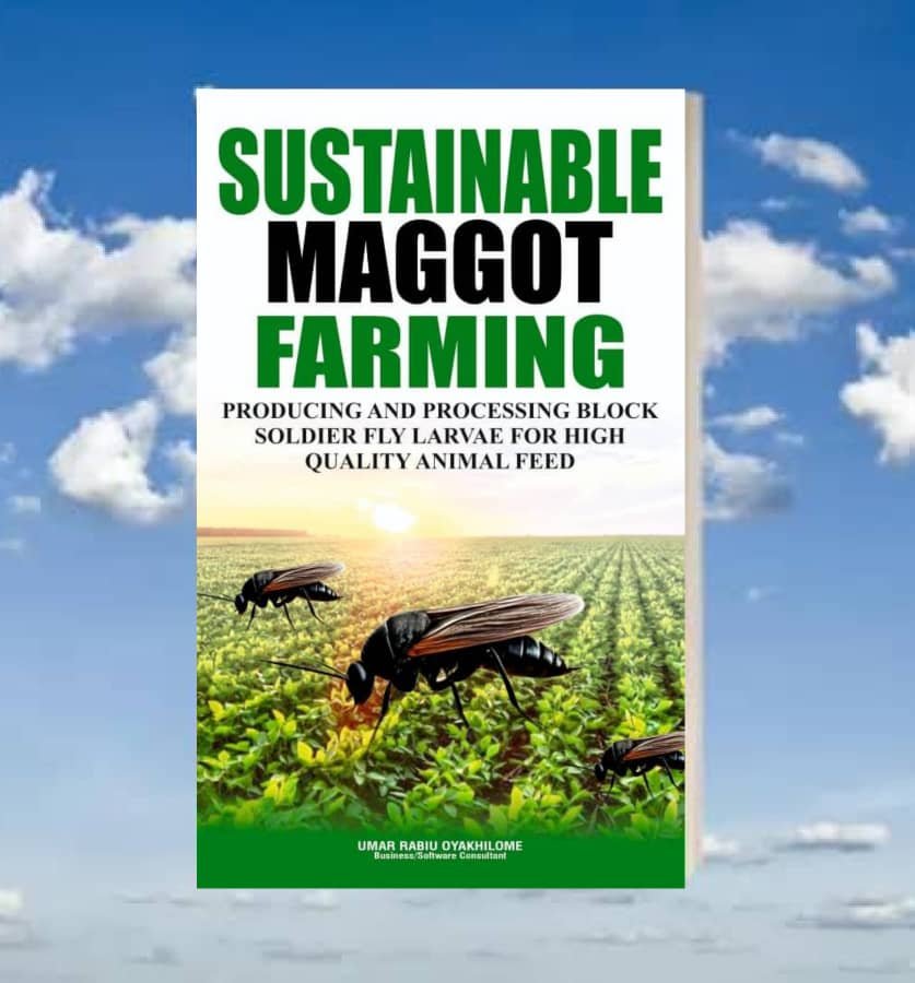 Sustainable Maggot Farming: